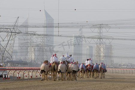 迪拜阿联酋骆驼和骑师在日落时在 Nad Al Sheba 骆驼赛马场训练