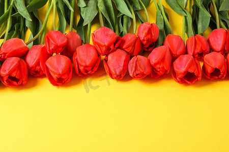 许多美丽的红色郁金香，黄色背景上有绿叶，文字空间