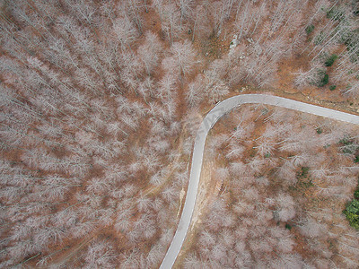 大气公路摄影照片_森林中一条空路的鸟瞰图