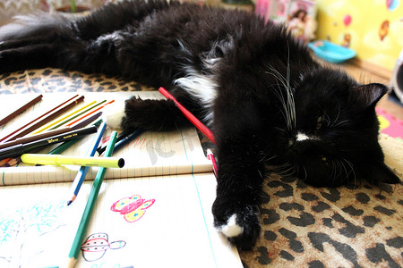 画完画后躺在沙发上的黑猫