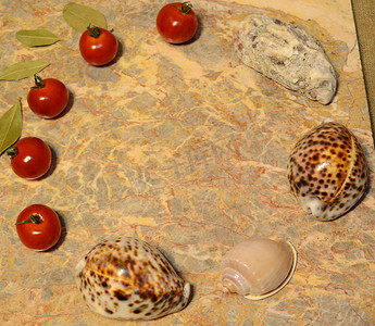 展示表面 - 蔬菜、贝壳、大理石表面上的鸡蛋：圣女果、月桂叶、牡蛎、贝壳、鸡蛋