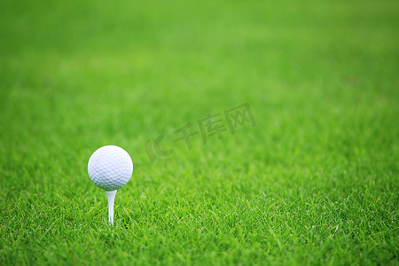 绿色横幅背景摄影照片_在绿草背景的高尔夫球