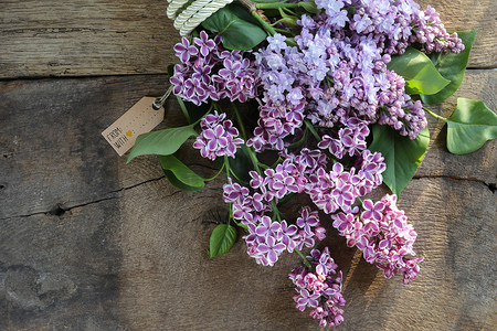 美丽的紫色春天的花朵与礼品标签。