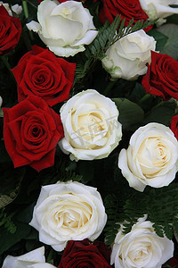 红色金色珠花摄影照片_大的白色和红色玫瑰插花
