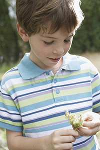 一个男孩在户外拿着花的条纹 T 恤的特写
