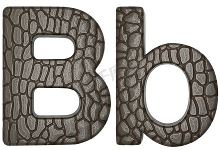 鳄鱼皮字体 B 小写和大写字母