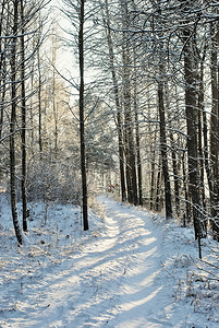 下雪路摄影照片_冬天的路