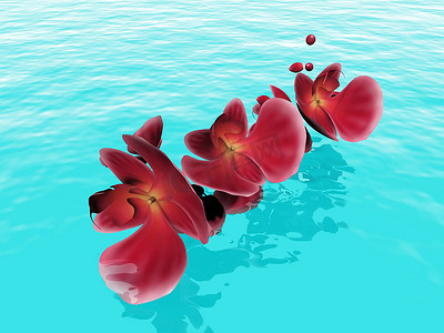 甘兰摄影照片_水面上的红色兰花瓣