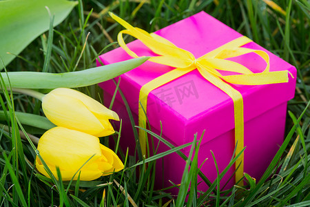 粉色礼盒和黄色郁金香