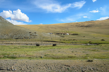 草原蒙古包摄影照片_在蒙古耕种