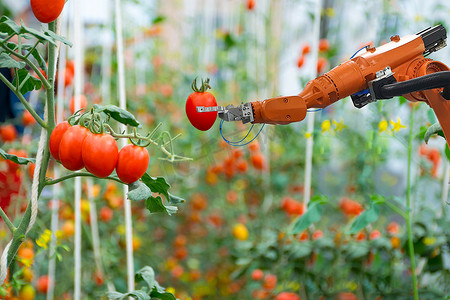 智能机器人摄影照片_农业未来机器人自动化中的智能机器人农民