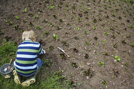 一个金发男孩在田里种庄稼的高视图
