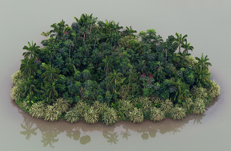 浪漫海岛旅行摄影照片_有棕榈树的浪漫荒岛