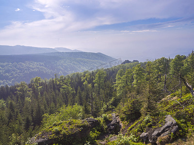 Jizera Mountains (jizerske hory) 全景，郁郁葱葱的绿色云杉林和蓝天，白云背景，春天