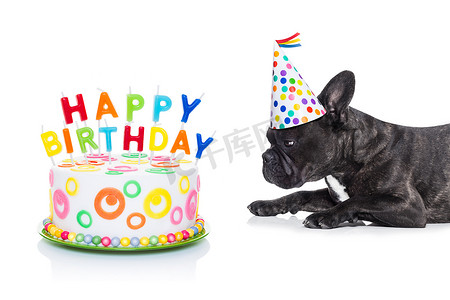 生日快乐狗和蛋糕