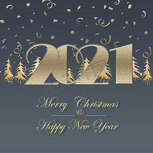 新年快乐海报摄影照片_2021年新年快乐，圣诞快乐优雅的金色贺卡