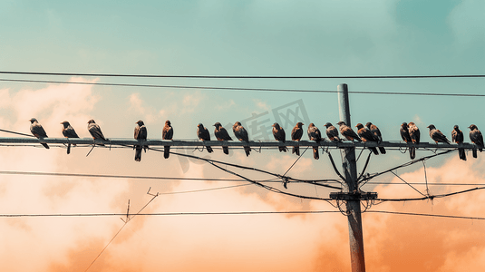 一群鸟摄影照片_一群鸟坐在电线顶上