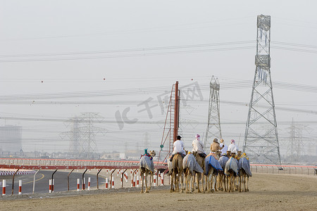 迪拜阿联酋骆驼和骑师在日落时在 Nad Al Sheba 骆驼赛马场训练