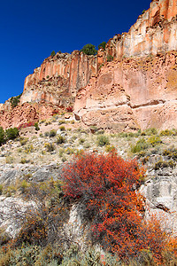 犹他州的野花和岩石峭壁