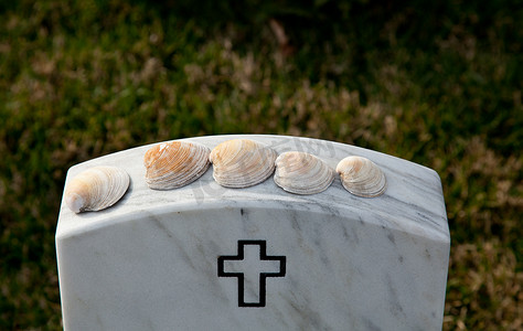 阿灵顿公墓的海贝壳