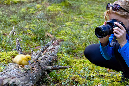 年轻女子在树林间徒步旅行并用相机拍照。