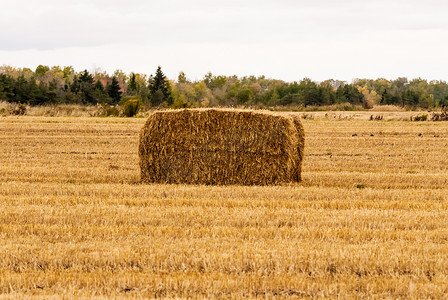 空旷土地摄影照片_空旷田野中的单黄色干草捆