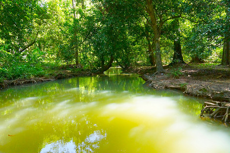 Tha Than Bok Khorani 国家公园森林中的绿水