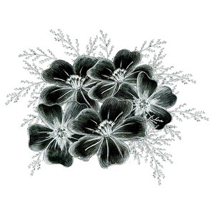 黑色和白色手绘花组成。