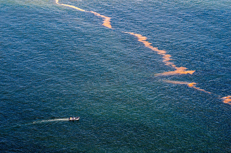 戈登斯湾的海洋污染