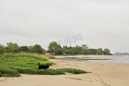 马刹车摄影照片_粗糙和寒冷的 Weser 海滩 Brake Unterweser 下萨克森德国。