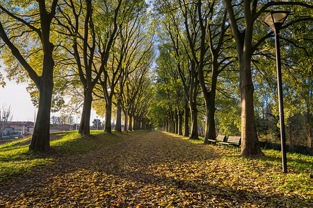 布拉拉宫摄影照片_费拉拉城墙在秋季与落叶在 gro