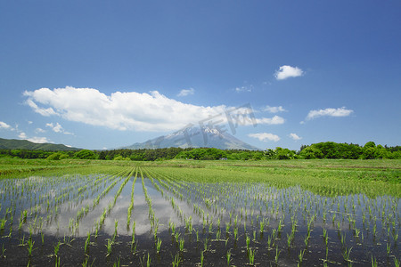日本风情摄影照片_岩手山和田园风光