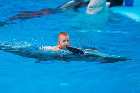 在海豚馆与海豚一起游泳的快乐小男孩