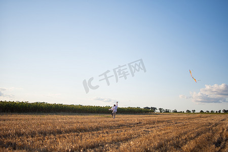 风筝玩具摄影照片_割过的麦田。