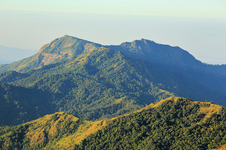 清晨的青山，阳光明媚。