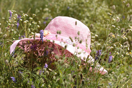 一顶夏天的粉红色帽子躺在草地上