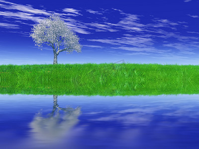 “树、草地和水”