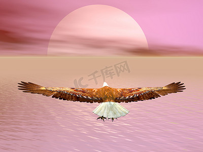 飞向太阳的鹰 — 3D渲染