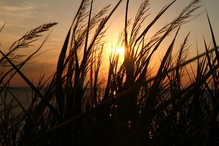 沙滩上的夕阳摄影照片_沙滩上的夕阳草海
