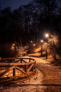 亮灯树摄影照片_Petrin 公园在晚上，布拉格，捷克共和国，在冬天