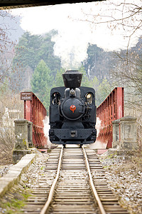 “CKD 蒸汽机车 n.5 (1.4.2008) 服务的最后一天，Cie”