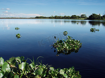 潘安湿地公园摄影照片_潘塔纳尔湖
