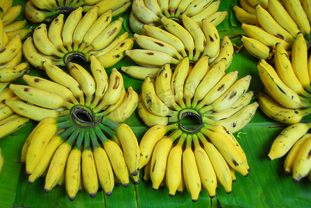 出售香蕉果实