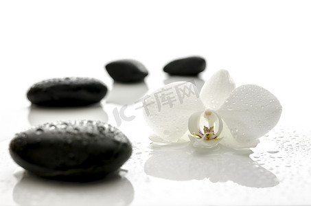 带水滴的白色兰花和温泉石