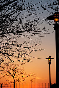 树枝灯笼摄影照片_黎明时的公园灯和树枝