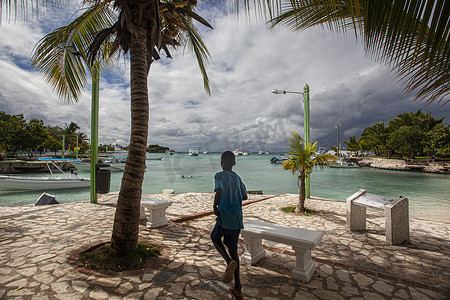 Bayahibe 风景照中的棕榈和海