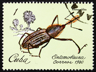 “邮票古巴 1981 象鼻虫、犀牛、昆虫”