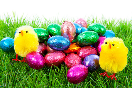 草地上的复活节鸡和彩蛋