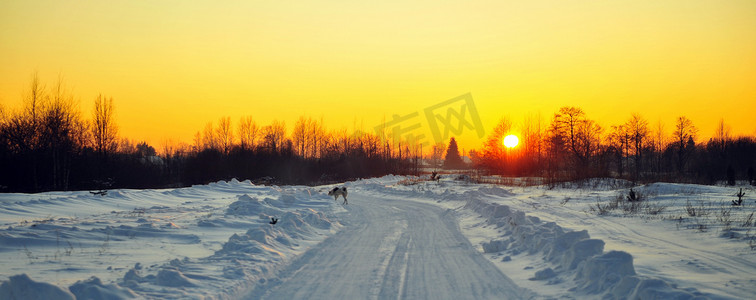 黄昏路上摄影照片_路上的冬日夕阳