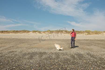 狗在沙滩上排便。